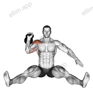 Kettlebell Seated Press exercise targeting Shoulders and Deltoid Anterior