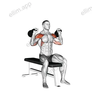 Kettlebell Seated Two Arm Military Press exercise targeting Shoulders and Deltoid Anterior