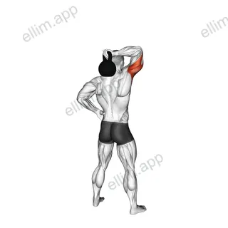 Kettlebell Standing One Arm Extension exercise targeting Upper Arms