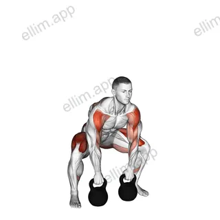 Kettlebell Sumo Deadlift with High Pull exercise targeting Hips and Gluteus Maximus