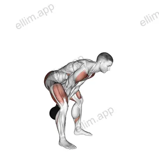 Kettlebell Swing exercise targeting Thighs and Deltoid Anterior