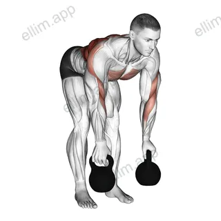 Kettlebell Two Arm Row exercise targeting Back and Infraspinatus