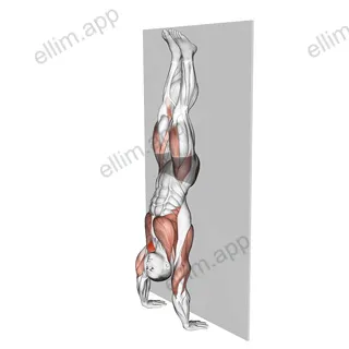 Kipping Handstand Push-up exercise targeting Shoulders
