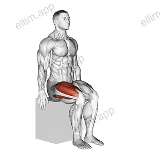 Knee - Extension exercise targeting Thighs