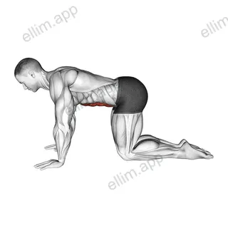 Kneeling Abdominal Draw-In exercise targeting Waist