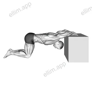 Kneeling Chest Stretch exercise targeting Chest