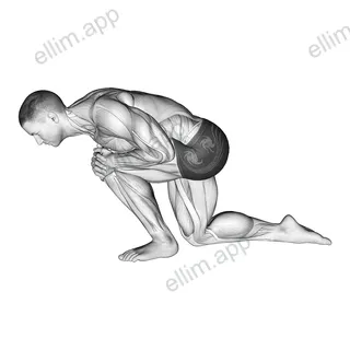 Kneeling Heel Down Achilles Stretch exercise targeting Calves