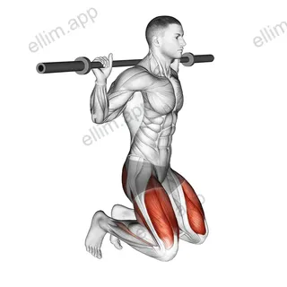 Kneeling Jump Squat exercise targeting Hips and Gluteus Maximus