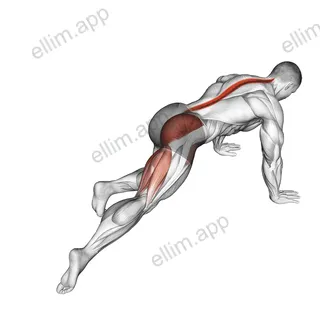 Kneeling Leg Half Circle exercise targeting Hips and Adductor Brevis