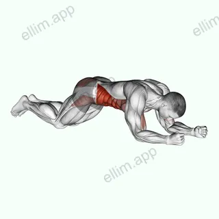 Kneeling Plank Tap Shoulder exercise targeting Waist