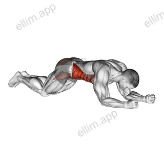 Kneeling plank exercise targeting Waist and Rectus Abdominis