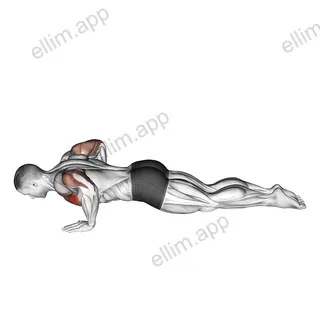 Kneeling Push-up exercise targeting Chest and Pectoralis Major Clavicular Head