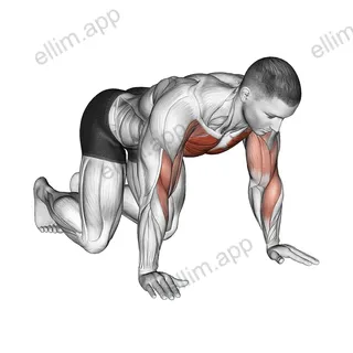 Kneeling Shoulder Tap exercise targeting Chest and Pectoralis Major Clavicular Head