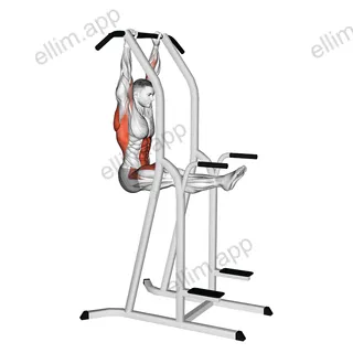 L-Pull-Up exercise targeting Back and Waist