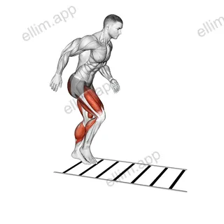 Ladder Drill exercise targeting Plyometrics