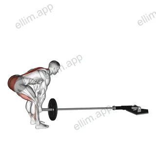 Landmine Deadlift exercise targeting Hips