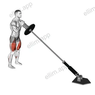 Landmine Front Squat exercise targeting Gluteus Maximus and Quadriceps