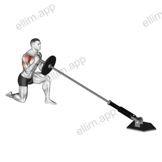 Landmine Kneeling One Arm Shoulder Press exercise targeting Shoulders and Deltoid Anterior