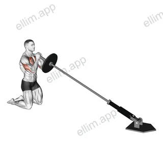 Landmine Kneeling Squeeze Press exercise targeting Chest and Pectoralis Major Clavicular Head