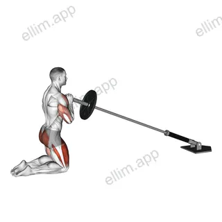 Landmine Kneeling Thruster Press exercise targeting Deltoid Anterior and Gluteus Maximus