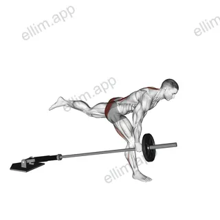 Landmine One Leg Stiff Leg Deadlift exercise targeting Hips