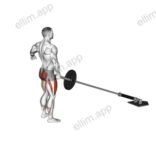 Landmine Rear Lunge exercise targeting Gluteus Maximus and Quadriceps