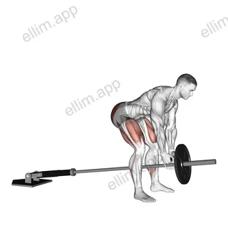 Landmine Romanian Deadlift exercise targeting Hips and Erector Spinae