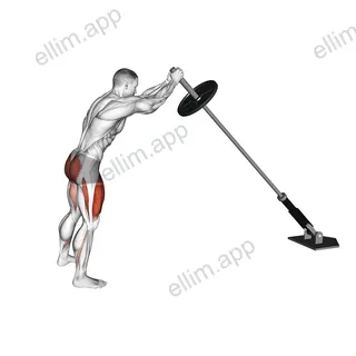 Landmine Squat exercise targeting Thighs