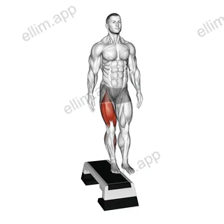 Lateral Step-up exercise targeting Thighs and Gluteus Maximus