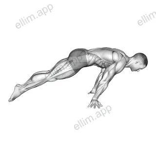 Lean Planche exercise targeting Waist