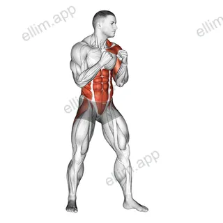 Left Uppercut. Boxing exercise targeting Plyometrics
