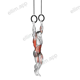 Leg Assisted Ring Pull-up exercise targeting Back
