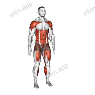 Leg Front Kick exercise targeting Waist