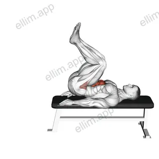 Leg Pull In Flat Bench exercise targeting Waist and Rectus Abdominis