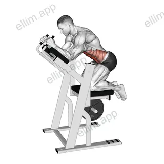 Lever Ab Swing exercise targeting Waist