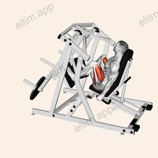 Lever Alternate Leg Press (plate loaded) exercise targeting Hips and Thighs