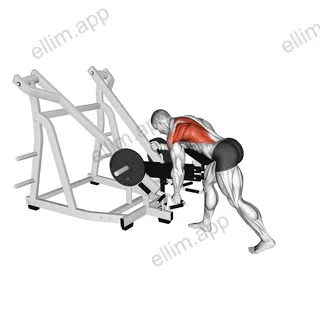 Lever Bent Over Single Arm Neutral Grip Row (with chest support) exercise targeting Back