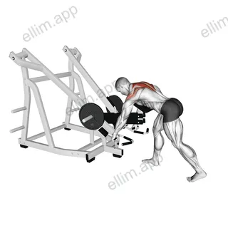 Lever Bent Over Wide Grip Row (with chest support) exercise targeting Back