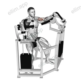 Lever Bicep Curl exercise targeting Upper Arms and Brachialis