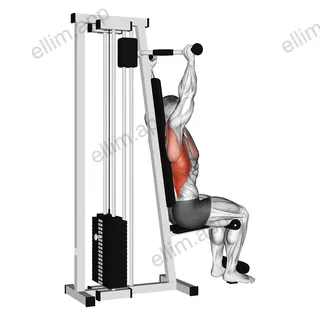 Lever Cable Rear Pulldown exercise targeting Back
