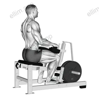 Lever Calf Stretch (plate loaded) exercise targeting Calves