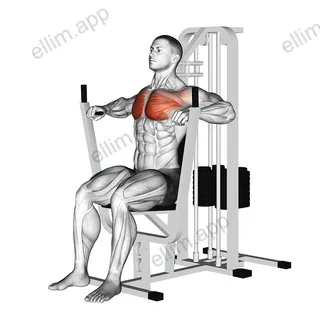 Lever Chest Press exercise targeting Chest and Pectoralis Major Sternal Head