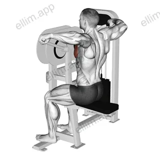 Lever Crossovers exercise targeting Chest and Pectoralis Major Sternal Head