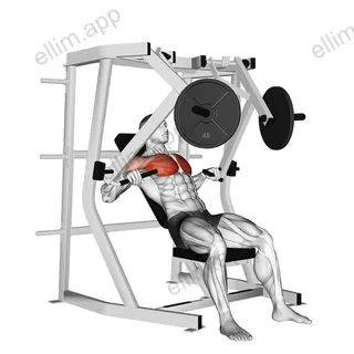 Lever Decline Chest Press exercise targeting Chest and Pectoralis Major Sternal Head
