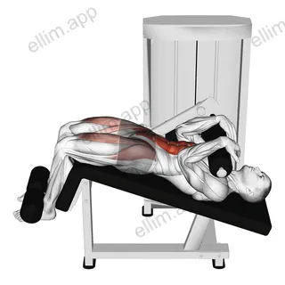 Lever Decline Sit up exercise targeting Waist