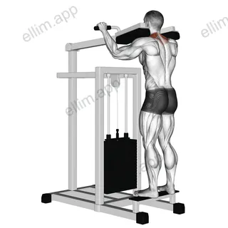 Lever Gripless Shrug exercise targeting Back and Trapezius Upper Fibers