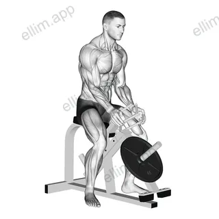 Lever Gripper Hands (plate loaded) exercise targeting Forearms