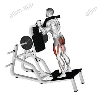 Lever Hack Squat exercise targeting Hips and Gluteus Maximus