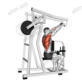 Lever High Row (plate loaded) exercise targeting Back and Infraspinatus
