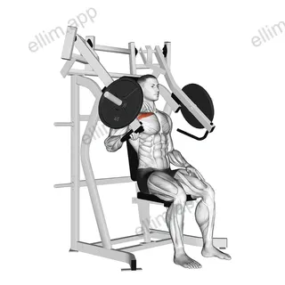 Lever Incline One Arm Chest Press (plate loaded) exercise targeting Chest